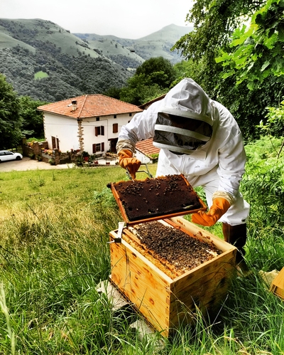 ferme ametzalde pays basque apiculteur bio