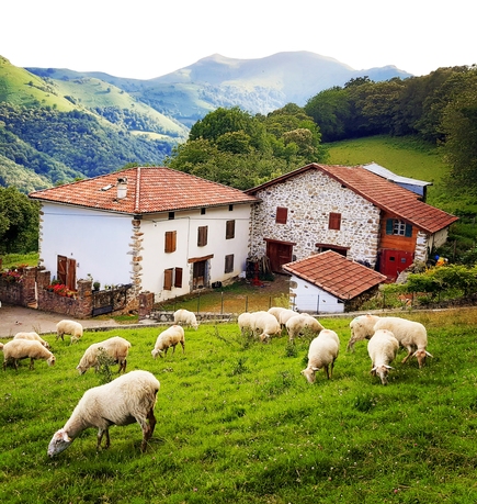 ferme ametzalde ferme traditionnelle au pays basque bio idoki