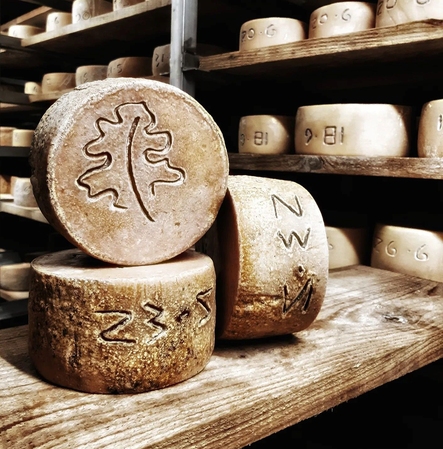 ferme ametzalde fromage de brebis bio au lait cru idoki pays basque